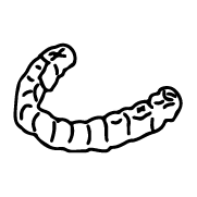 隱適美